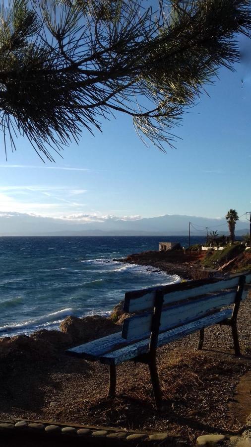 Ammos Luxury Suites Elia  Bagian luar foto